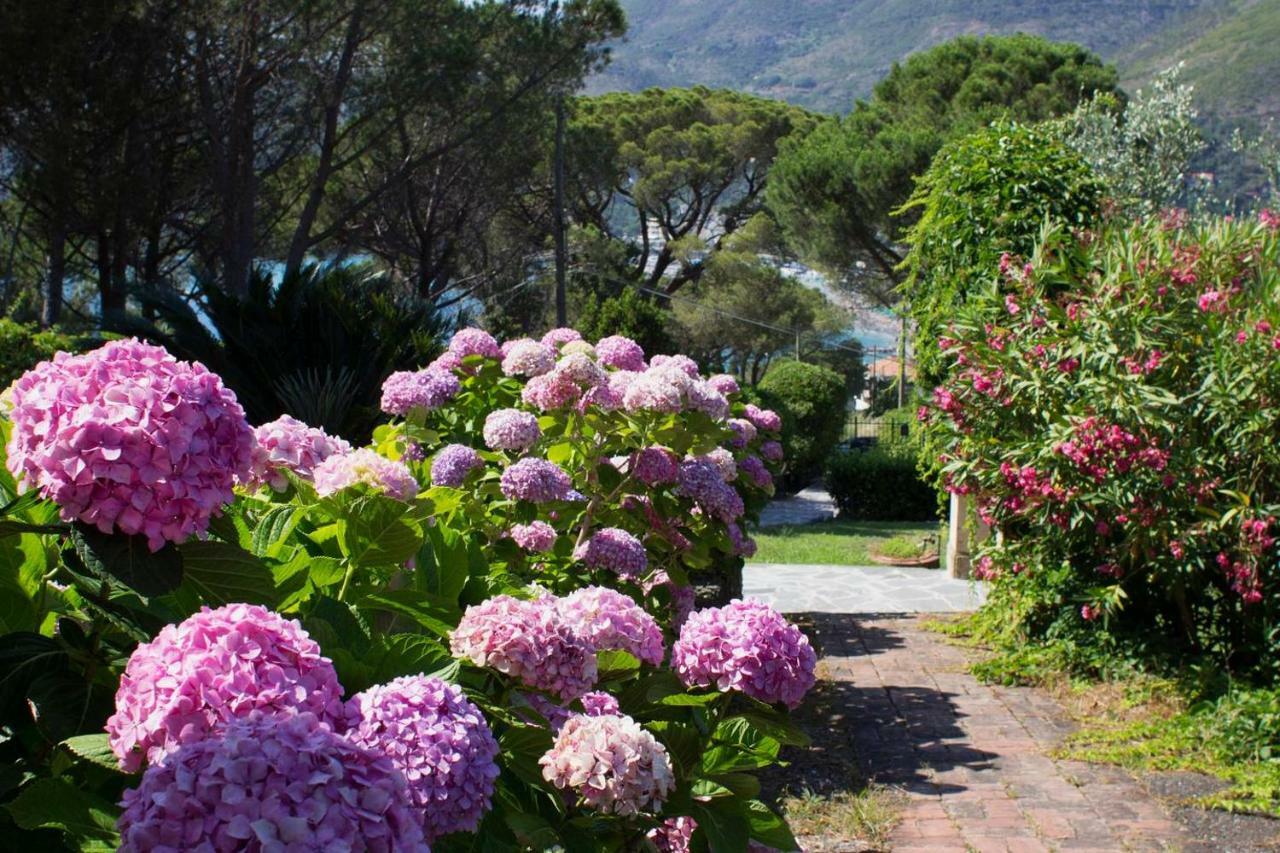 Villa Mesco Levanto Exterior photo